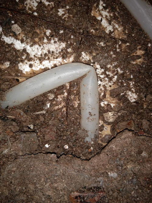 龙游堵点精准查找