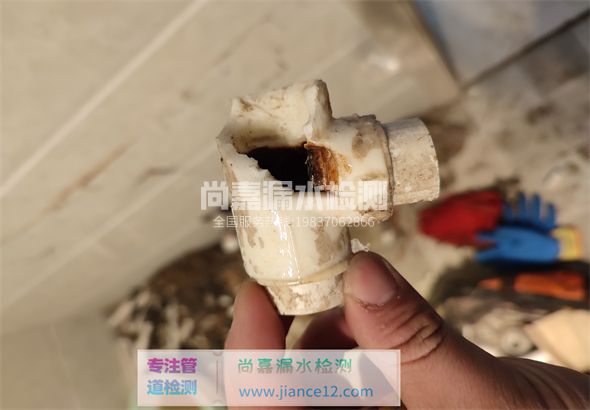 龙游引起漏水的原因有哪些？